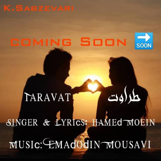 حامد معین طراوت