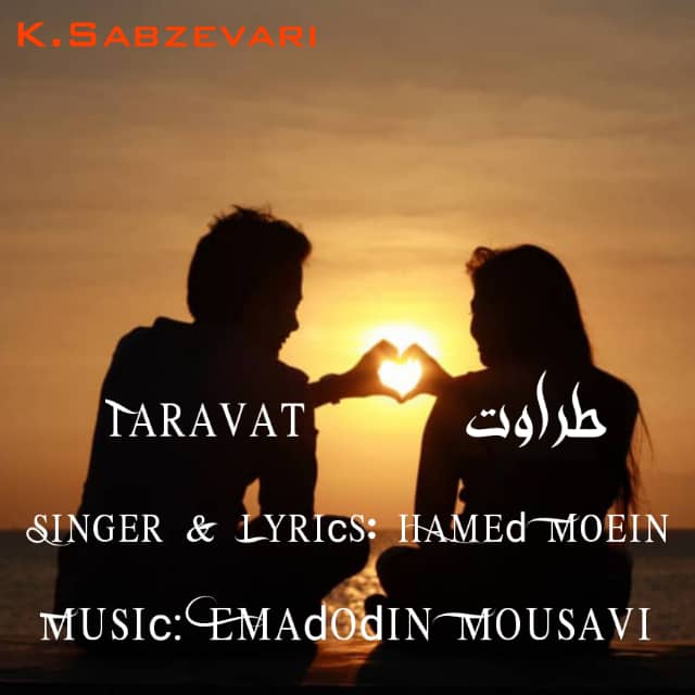 حامد معین طراوت