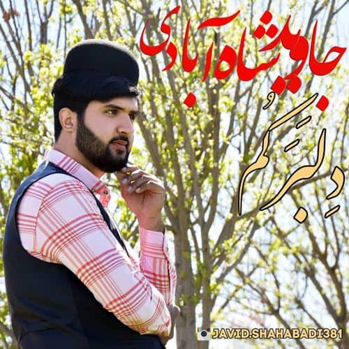 جاوید شاه آبادی دلبرکم