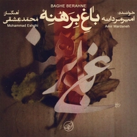 آلبوم امیر مردانه - باغ برهنه