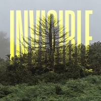 آلبوم اولافور آرنالدز - The Invisible EP