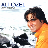 Vay Deli Gonul