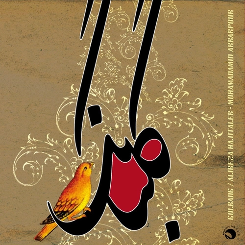 علیرضا حاجی طالب