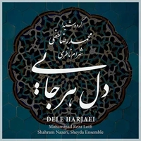 دل هر جایی