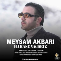 میثم اکبری هراس ناگزیر