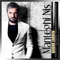 بابک زرین منطقی نیست