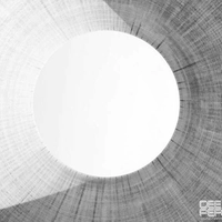 ریلتیم جاذبه آهسته