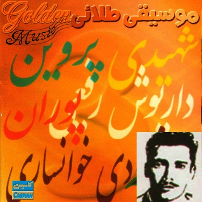 آلبوم داریوش رفیعی آهنگهای طلایی داریوش رفیعی