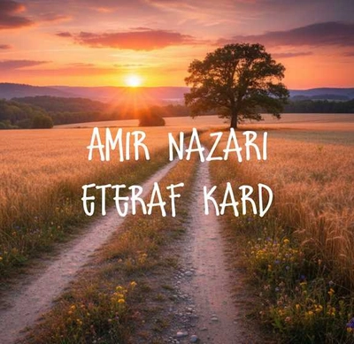 امیر نظری اعتراف کرد